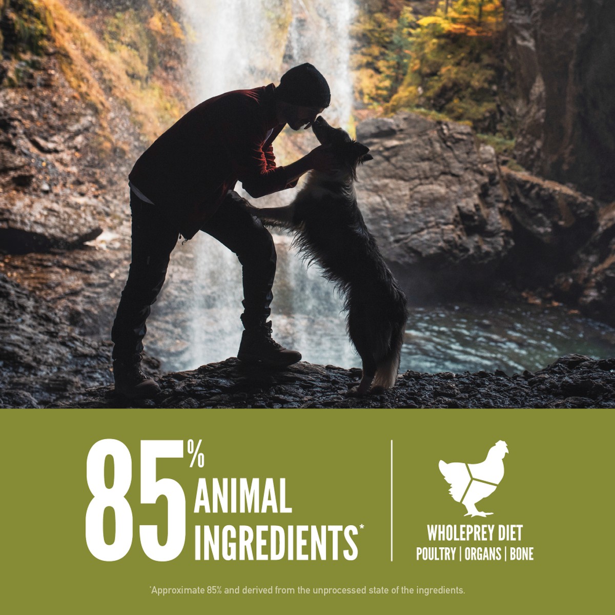 13lb / 6kg Orijen Senior Grain Free Dry Dog Food | 029-OVLRCM